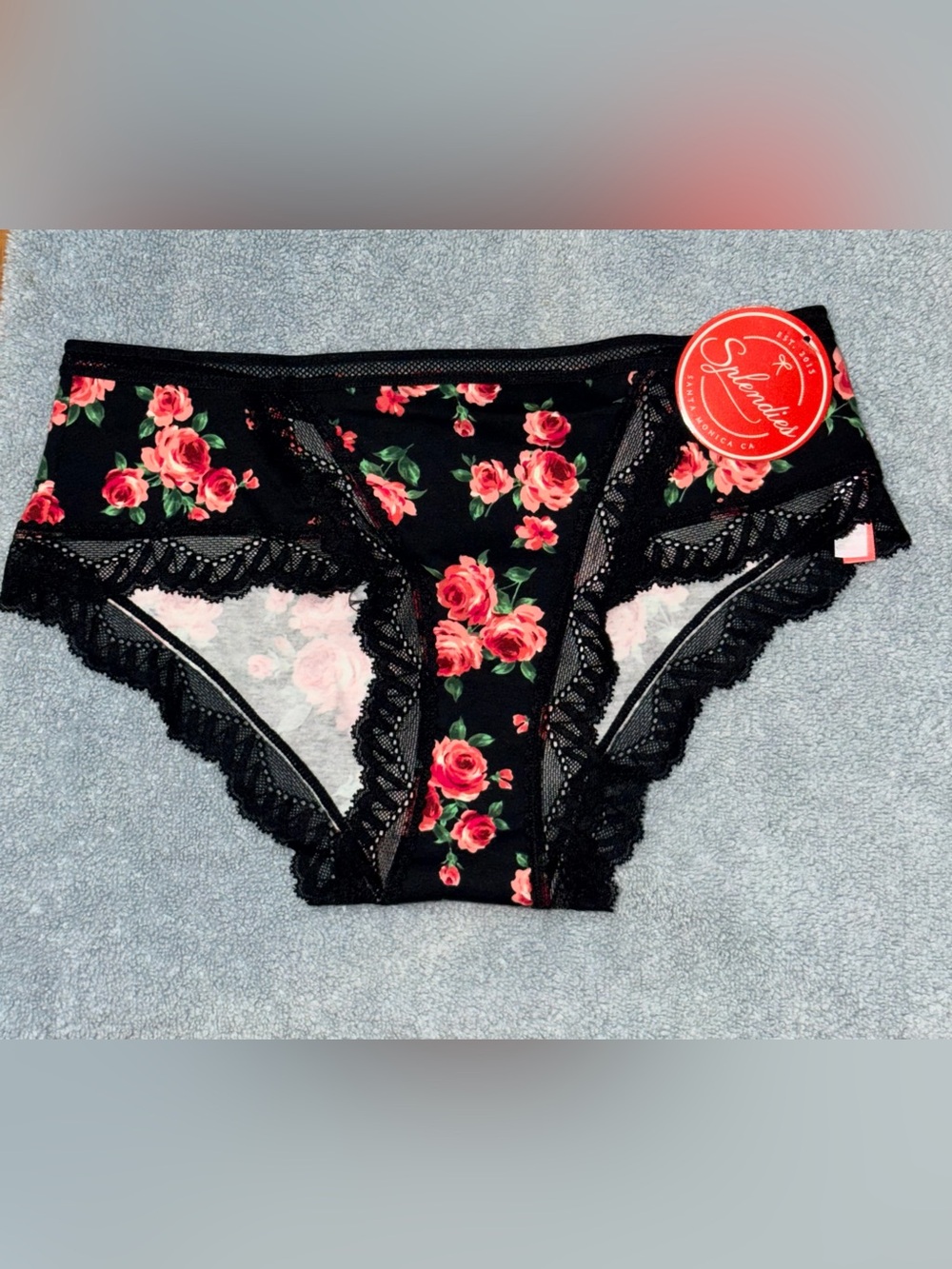 SPLENDIES | Floral Lace Trim Hipster Panty